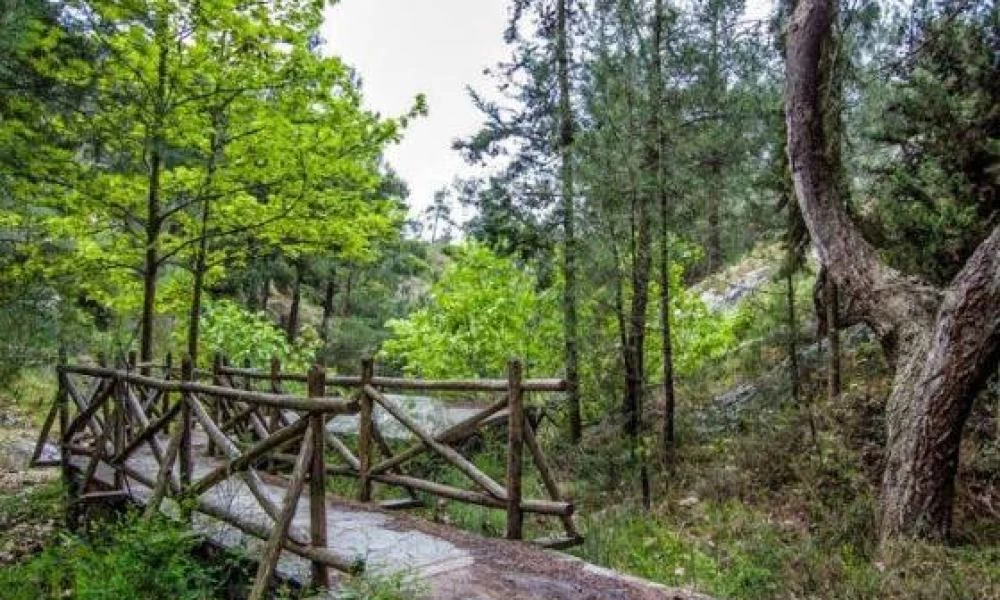 Θεσσαλονίκη: Mέχρι αύριο η απαγόρευση κυκλοφορίας στο Σέιχ Σου